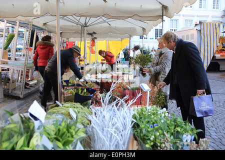 The Christmas flower market on the Burg, in the old town of Bruges/ Brugge, in West Flanders, Belgium Stock Photo