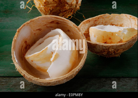 Coconut meat of the fresh young coconut Stock Photo