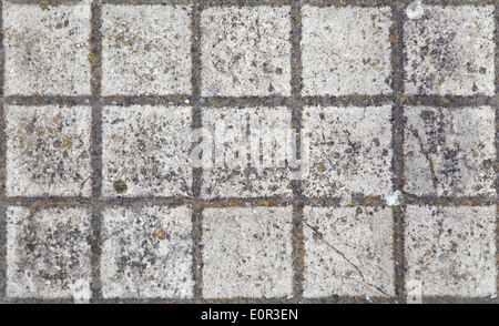 Seamless tilable texture of square paving slabs Stock Photo