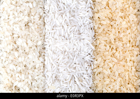 Close-up view of differet varieties of rice Stock Photo