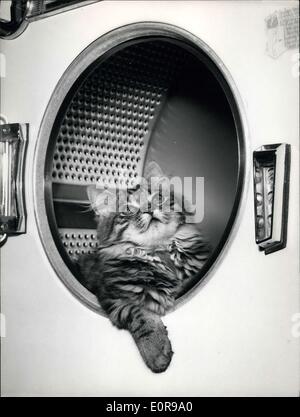 Aug. 22, 1958 - Cat in the washing-machine: Peter, the little cat, like the modern way. He lives in a agriculture- school in Landsberg / Germany. Pupils have always trouble to get it out when they want to put the laundry in. Stock Photo