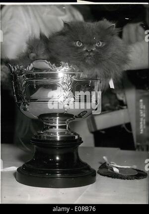 Dec. 16, 1958 - National Cat Club Show at Olympia Best Exhibit in Show: Photo Shows Posing proudly with its cup is Regina of Pensford, owned by Mrs. J. Thompson, of Beckenham, Kent. She is a Blue Persian and was elected the best exhibit. Stock Photo