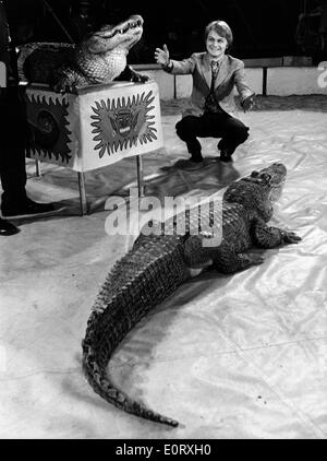 Singer Claude Francois performs with crocodiles Stock Photo