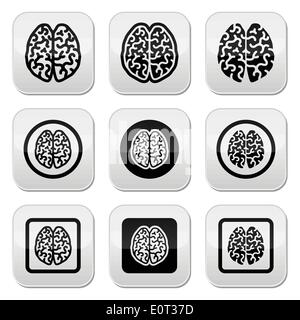 Human brain icons set - intelligence, creativity concept Stock Vector