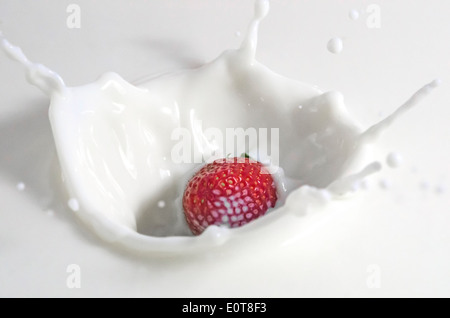 Fresh strawberry splashing in the milk, close image Stock Photo