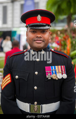 Lance Sergeant Johnson Gideon Beharry VC. The Chelsea Flower Show 2014. The Royal Hospital, Chelsea, London, UK.  19 May 2014. Stock Photo