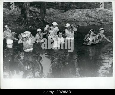 Jan. 01, 1962 - Oil found in the Tara Flats in Queensland: Oil has been found in the mud flats south of Tara, near the Moonie river, in Australia. Union Oil is drilling the area to guague whether the potential in sufficient to make the building of a pipeline worthwhile. Photo shows wading across the flooded Moonie to get tow work is just part of the day's work for the 30 Americans, Canadians, Australians, New Zealanders and Italians who man the Moonie rig. Stock Photo