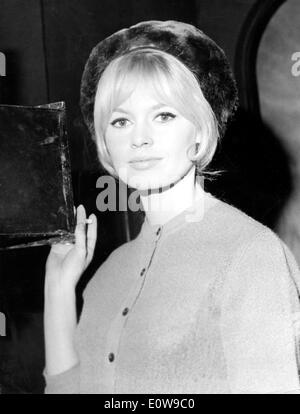 BRIGITTE BARDOT French model and film actress at Cannes in 1953 Stock ...