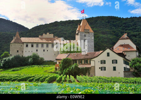 Château d'Aigle or Aigle Castle and vineyards, Aigle, Canton of Vaud, Switzerland Stock Photo