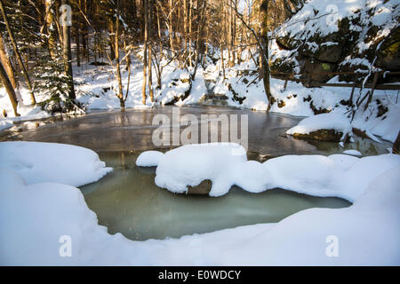 Winter in Ysperklamm Gorge, Waldviertel or Forest Quarter, Lower Austria, Austria Stock Photo