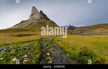 Alkhornet mountain, Trygghamna bay, Isfjorden fjord, Spitsbergen, Svalbard Islands, Svalbard and Jan Mayen, Norway Stock Photo