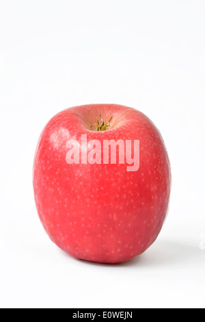 Domestic Apple (Malus domestica), variety: Cripps Pink, fruit, studio picture. Stock Photo