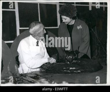 Nov. 11, 1962 - Queen visits Richmond Poppy factory.: The Queen and the Duke of Edinburgh this afternoon visited the British Legion poppy factory at Richmond, Surrey, Disabled war veterans work at the factory, making the millions of poppies which are sold on November 11, Remembrance Day, throughout Britain. Photo shows The Queen talks to Mr. E Hill, 669 year-old war veteran who is busy making the wreath which she will lay on the Cenotaph on Remembrance Day. Mr. Hill was injured while serving in France with the 1st Monmouths during World War I, and has been at the factory 27 years. Stock Photo