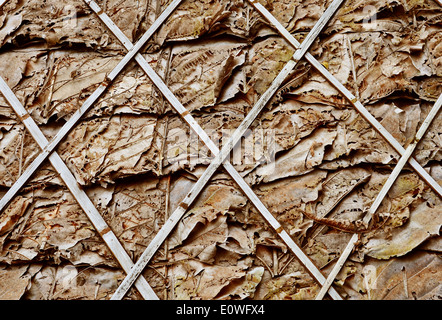 Materials from the leaves to weave into the roof Stock Photo