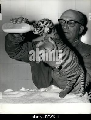 Apr. 04, 1963 - Abandoned Baby At The Zoo:''Suki'' a tiger - cub was born on 27th March, to ''Kumari'' a young tigress. Baby Suki was abandoned by her mother, and as the Zoo authorities could not find a suitable foster mother for her, she is being reared by bottle in the zoo hospital. Photo Shows: Baby Suki has a drink of milk at one her five-hourly feeds. Stock Photo