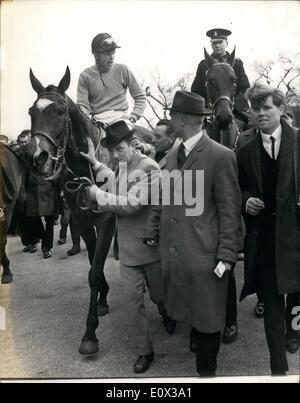 Mar. 03, 1965 - An American horse wins the 1965 Grand national at Aintree today.: The American horse ''Jay Trump'', ridden by Crompton Smith, beat the favourite ''Freddie'' in a thrilling finish to win the 1965 Grand National Chase at Aintree,Liverpool today. ''Mr Jones'' was placed third. Photo shows 'Jay Trump' being led into the paddock after his great win today. Stock Photo