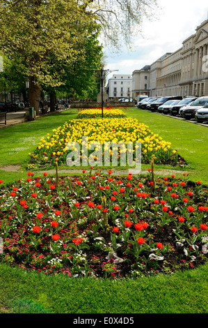 The Long Garden in front of the Municipal Offices, The Promenade, Cheltenham, Gloucestershire, England Stock Photo