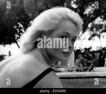 May 07, 1965 - Rome, Italy - SANDRA DEE is in Rome to turn the role of the film 'A Man Could Get Killed'. She poses in a pool of a Rome hotel.Actress Sandra Dee, the blond beauty who attracted a large teen audience in the 1960s with films such as ''Gidget'' and ''Tammy and the Doctor'' and had a headlined marriage to pop singer Bobby Darin, died February 20, 2005 in Los Angeles. She was 62. Stock Photo