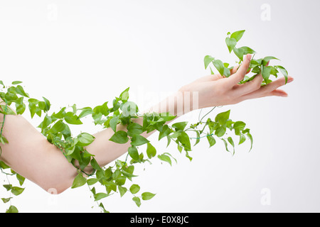 a plant wrapped around a woman's arm Stock Photo - Alamy