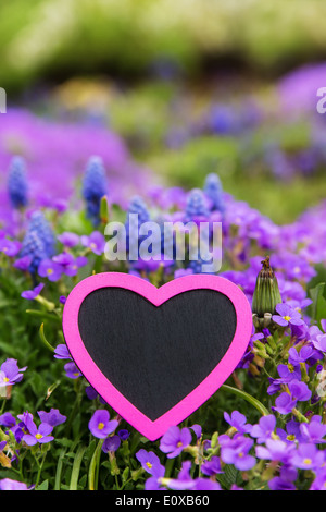 a pink heart in front of lilacbush and grape hyacinth Stock Photo