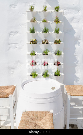 Vertical wall feature of small plants outside a bar in Greece Stock Photo