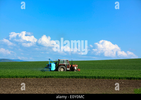 Tractor in a field farming Stock Photo