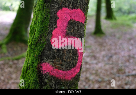 pink number 5 painted on green tree trunk Stock Photo