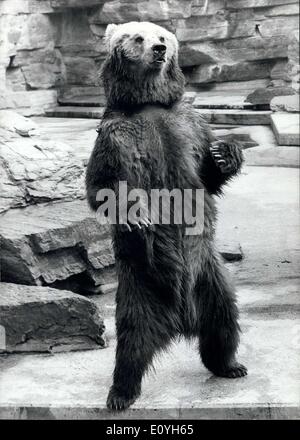 May 22, 1970 - To a visit in the zoo : the droll brown bear in our picture seems to invite. May summer weather be not so fine this year, neverthe - less a visit in the zoo is the Cologne zoo. Stock Photo