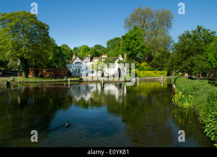 UK, England, London, Carshalton Ponds Stock Photo