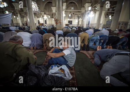 (140520) -- CAIRO, May 20, 2014 (Xinhua) -- An Egyptian boy prays at Sayeda Zeinab mosque for the celebration of 'Moulid Sayeda Zeinab' festival, or the birthday of the granddaughter of Prophet Mohamed, in old Cairo, Egypt, May 20, 2014. (Xinhua/Pan Chaoyue) Stock Photo