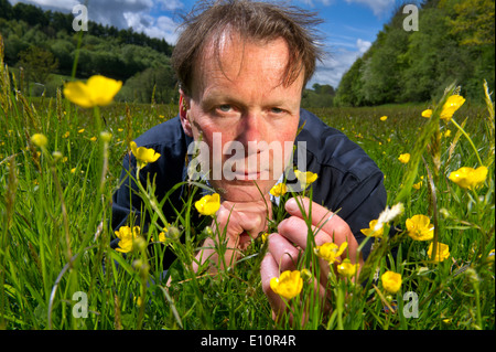 Farmer John Lewis-Stempel has written a book about meadows and is seen in a Herefordshire field surrounded by buttercups.a UK Stock Photo