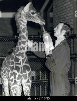 Mar. 03, 1975 - Baby with head for heights : The tallest baby at London zoo dwarfing its keeper, Mr. Jeff Nickin, who is bottle-feeding john a 6ft 3in, seven week old giraffe. The daily ration of 10 pints of milk may be continued up to nine months, and john could grew to 18ft. Stock Photo