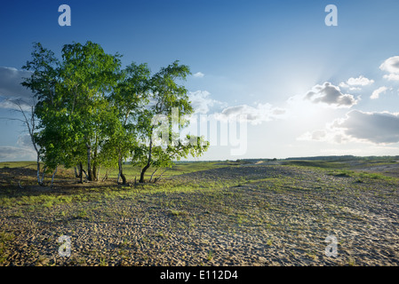 Cloudy sky and sunlight over sandy desert Stock Photo