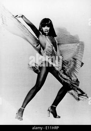 Portrait of singer Tina Turner Stock Photo