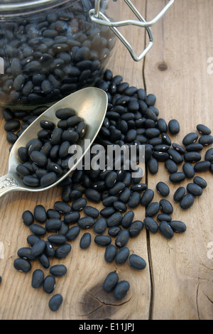 Black Turtle Beans a popular bean in Hispanic and Mexican cuisine Stock Photo