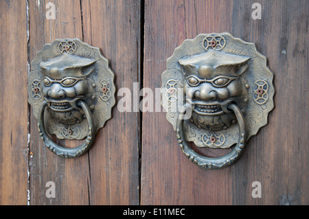 Lion-type knocker Stock Photo