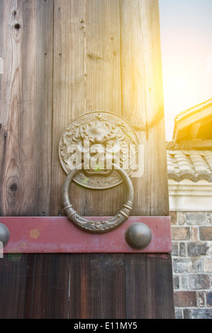 Lion type knocker Stock Photo