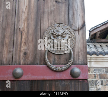Lion type knocker Stock Photo