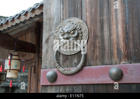 Lion type knocker Stock Photo