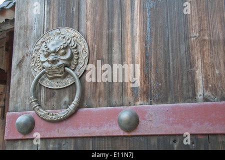 Lion type knocker Stock Photo