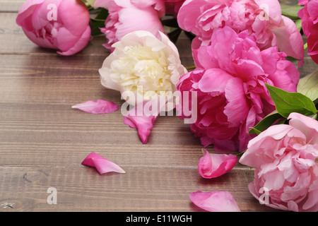 pink peonies on wooden background Stock Photo