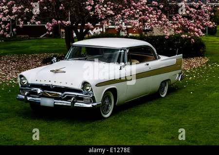 1956 Plymouth Fury Stock Photo - Alamy