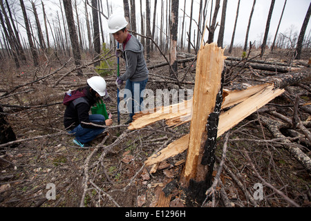 College students participate in 'Aggie Replant' on-going effort to replant loblolly pine forests ravaged by wildfires in 2012 Stock Photo