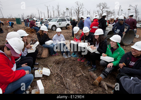 College students participate in 'Aggie Replant' on-going effort to replant loblolly pine forests ravaged by wildfires in 2012 Stock Photo