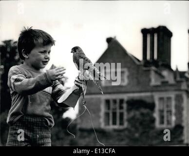 Mar. 02, 2012 - Boy and bird life father like son.... Simon, 4-year-old son of Allel Ostvald falconer at Chilham Castle, Kent home of Lord Masgerens and Ferrard, is following in his father's footsteps. He has taken over the care and training of the five-weeks'-old kestrel sent to Oswold from Scotland after being rescued from the nest Afton the argent birds had been found shot. Already he wears the protective glove and handles the bird like a veteran as it begins its training. Stock Photo