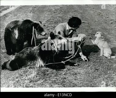 Mar. 02, 2012 - Listen Sir...Now governor, just bear with me and I will tell you to handle those big grizzlys, Bear trainer Dieter Kramel appears to heed the advice give to him by his dog ''Struppi' Stock Photo