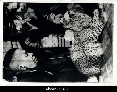 Apr. 17, 2012 - The world's Only ''Leopons'' - Are Growing Up. Rare ...
