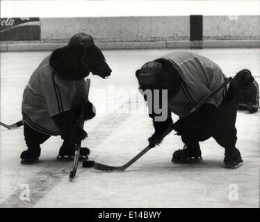 Apr. 17, 2012 - Ice Hockey Match A Difference: An Ice Hockey match with a difference recently took place in the Munich Olympic hall. A team of Russian brown bears too on a team of Chimpanzees. It was a very entertaining match for the many spectators that attended. The two teams were trained by the German acrobat famil the Renz's who own the animals. They took three years to train. Picture shows Action shots from the catch. The Chimps won 3-2. Stock Photo