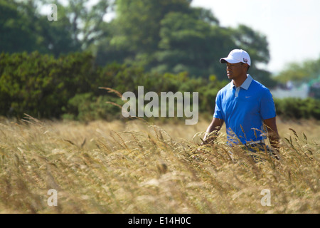 Tiger Woods during a practice round in the 2013 British Open at Muirfield Golf Course Stock Photo