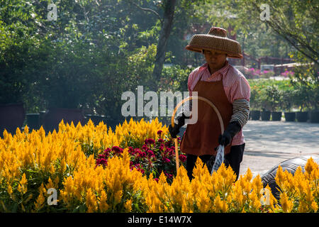 Woman wearing a straw hat, watering flowers, Po Lin Monastery, Lantau Island, Hong Kong, China Stock Photo